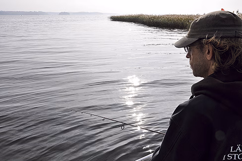 Länsstyrelsen fiskar avelsgädda
