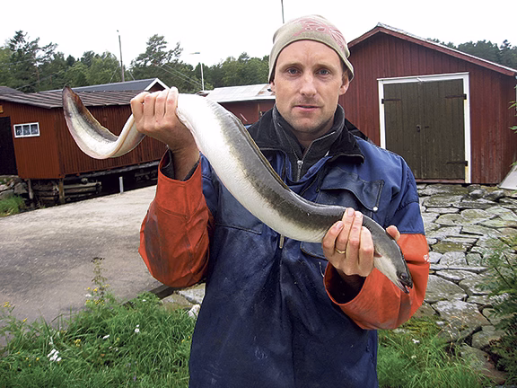 ”Åtgärder verkar ha fått effekt”