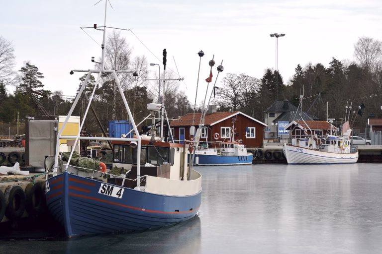 Småskaligt fiske skapar mervärde
