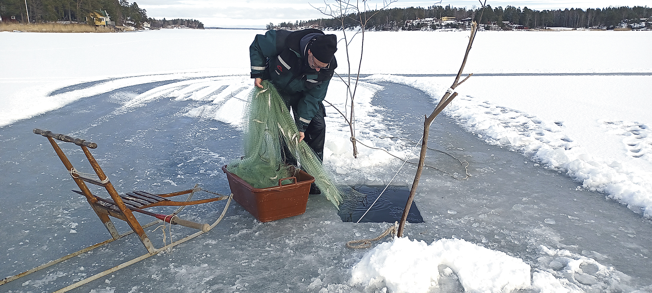 Nätfiske under isen – en skärgårdstradition på väg att försvinna