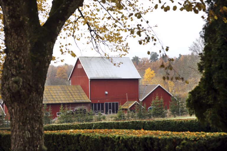 Höjda arrenden och svångrem för jordbruken